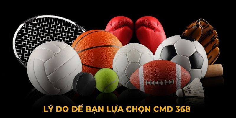 Lý do để bạn lựa chọn CMD 368 